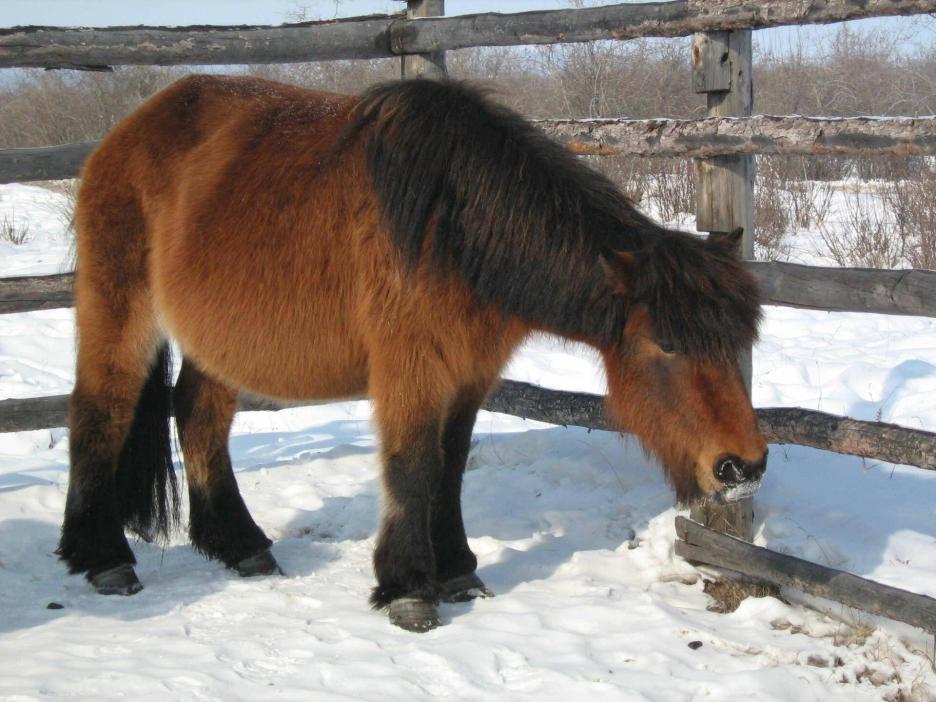 фото img_692eecf15d5c0.jpg