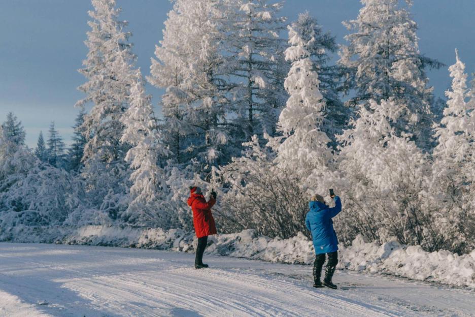 фото img_692eecf2cb548.jpg