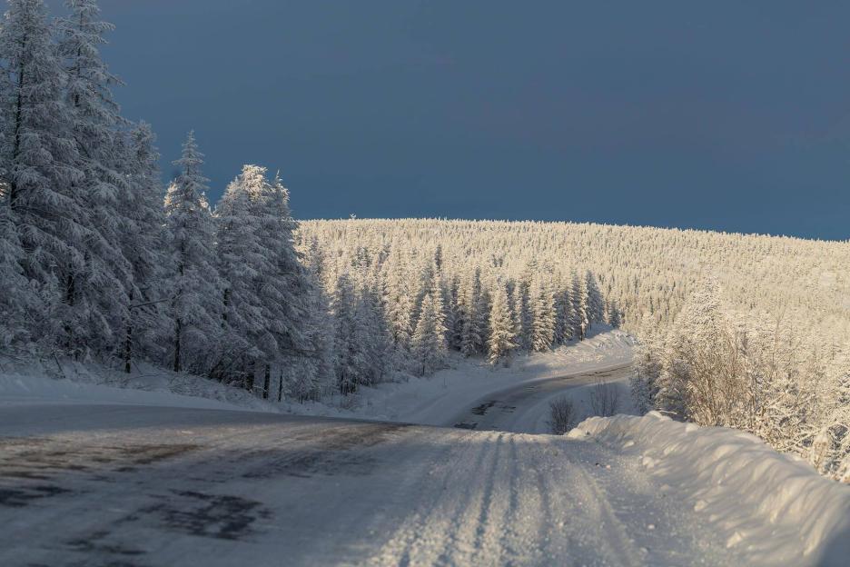 фото img_692eecfbc6001.jpg