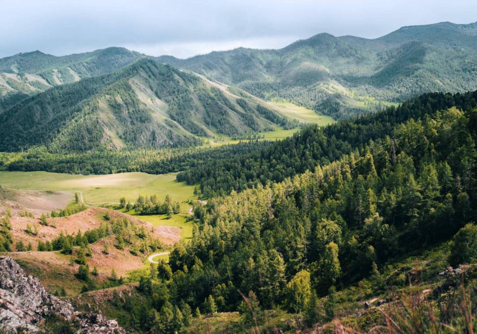 фото img_6932935caeb28.jpg