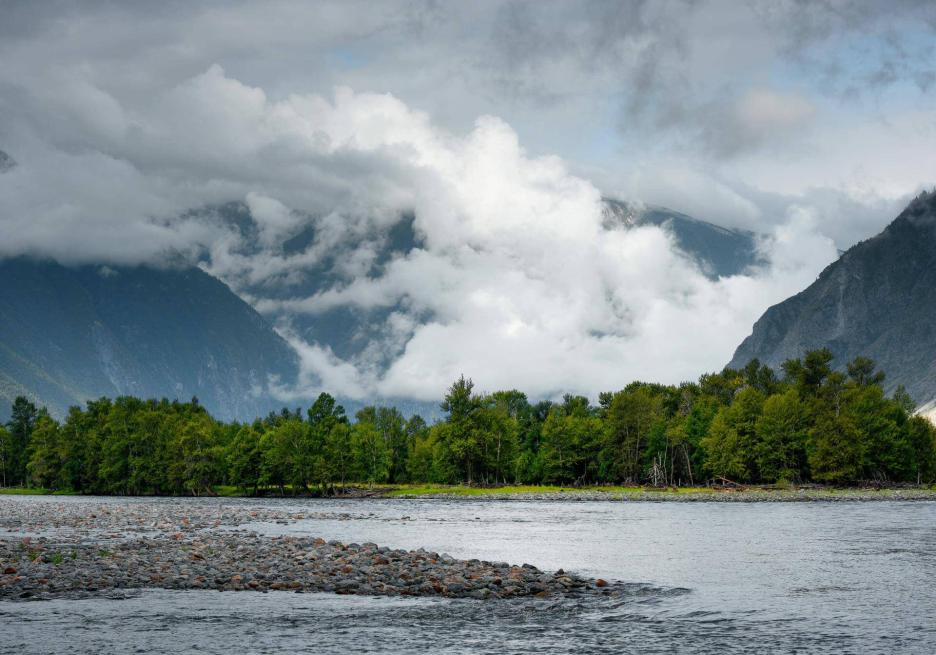 фото img_69329509bc9f5.jpg