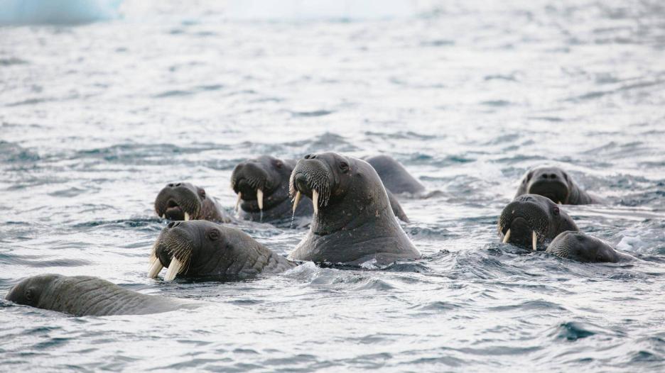 фото img_68a4190639e81.jpg