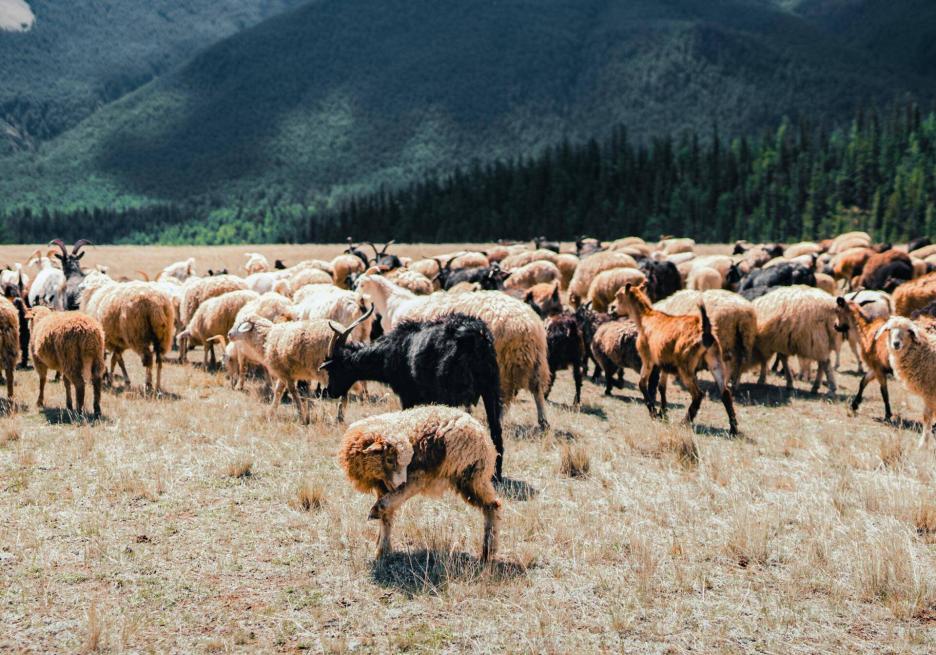 фото img_6932950e088fe.jpg