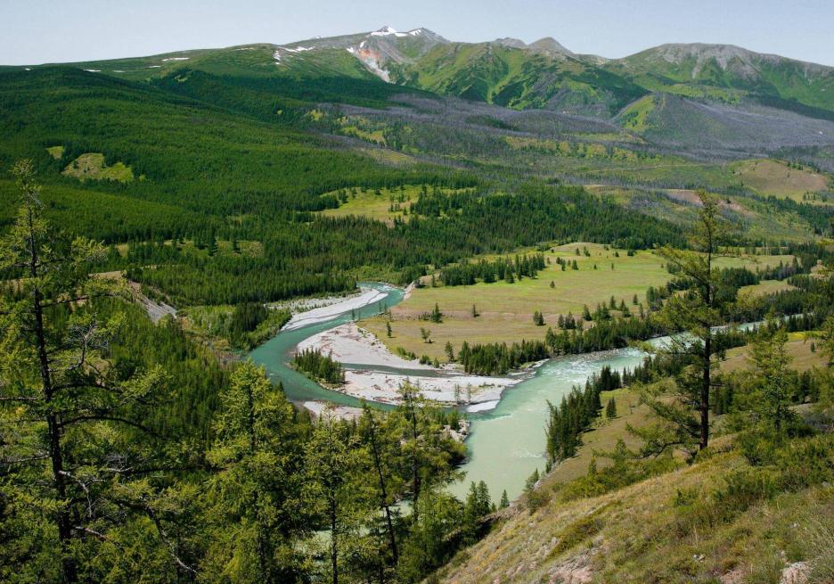 фото img_6932952c00739.jpg