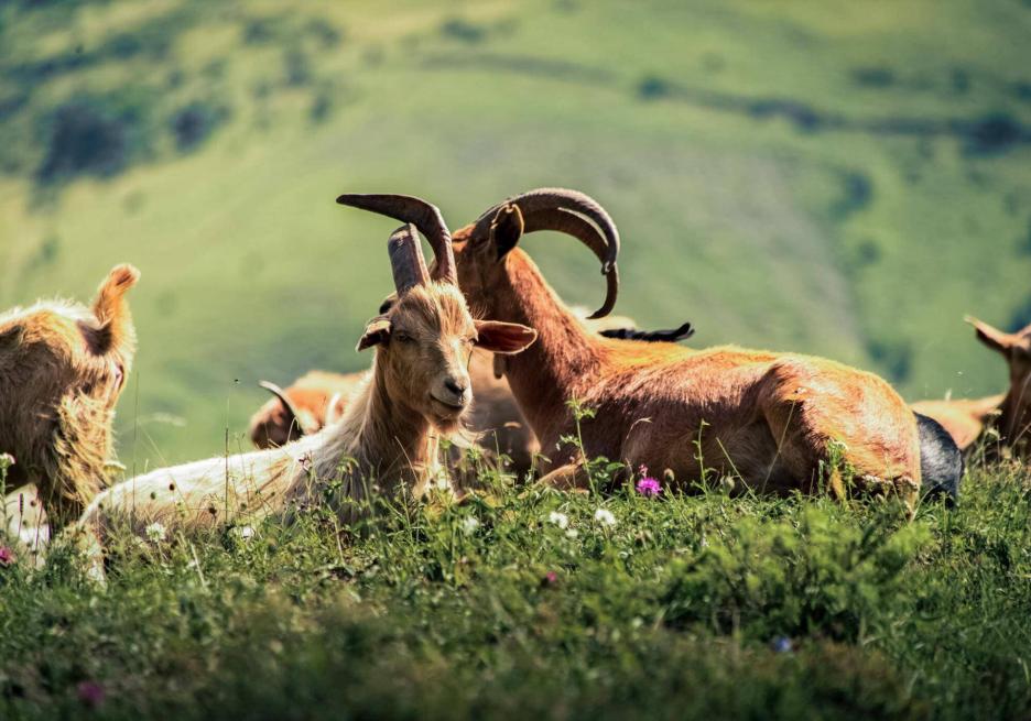 фото img_693bcc6070b9d.jpg