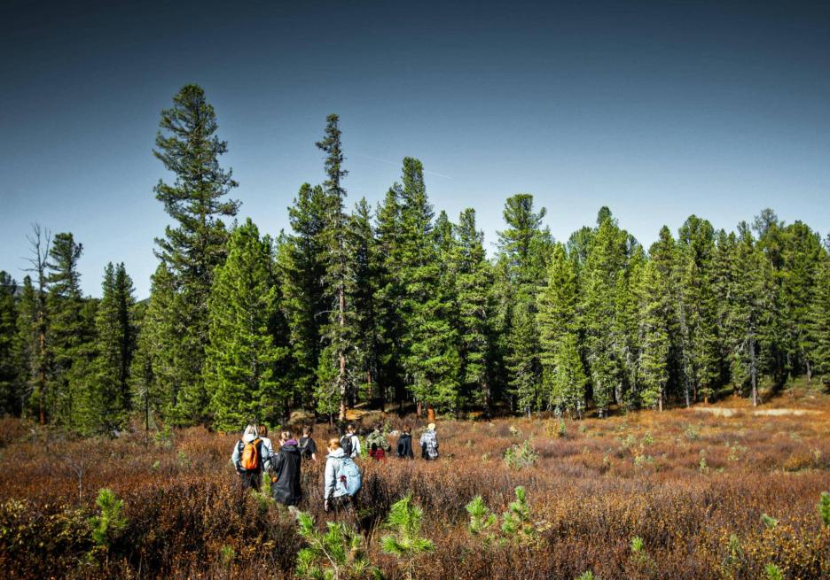 фото img_69415b6920c23.jpg