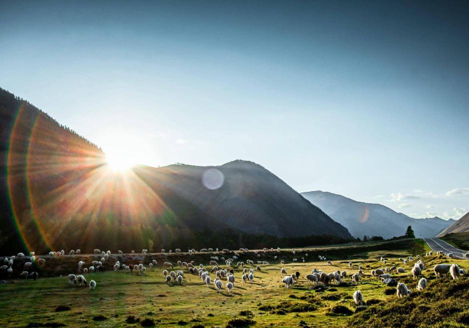 фото img_69415b6e6e59c.jpg