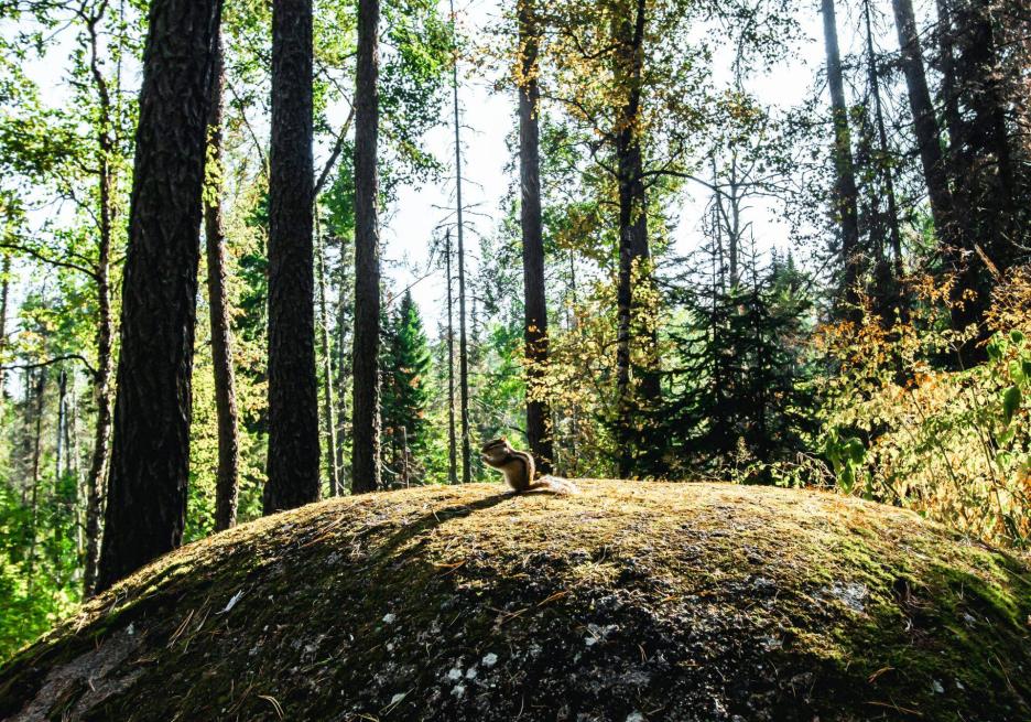 фото img_69415c1725f17.jpg