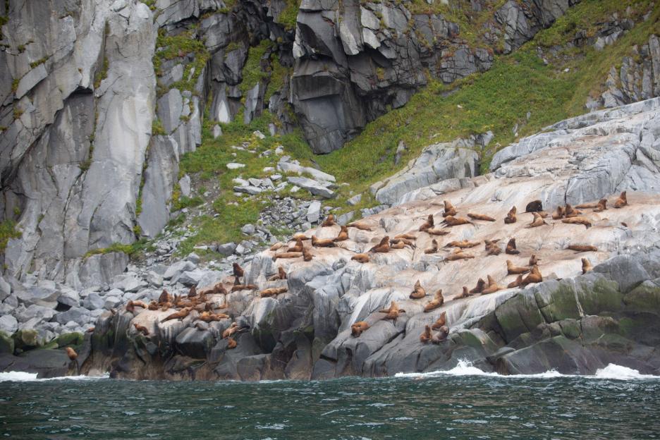 фото img_694e50d048bc7.jpg