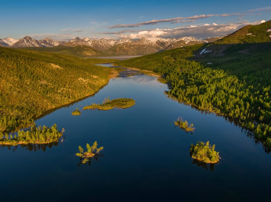 фото img_694e50f45ac18.jpg