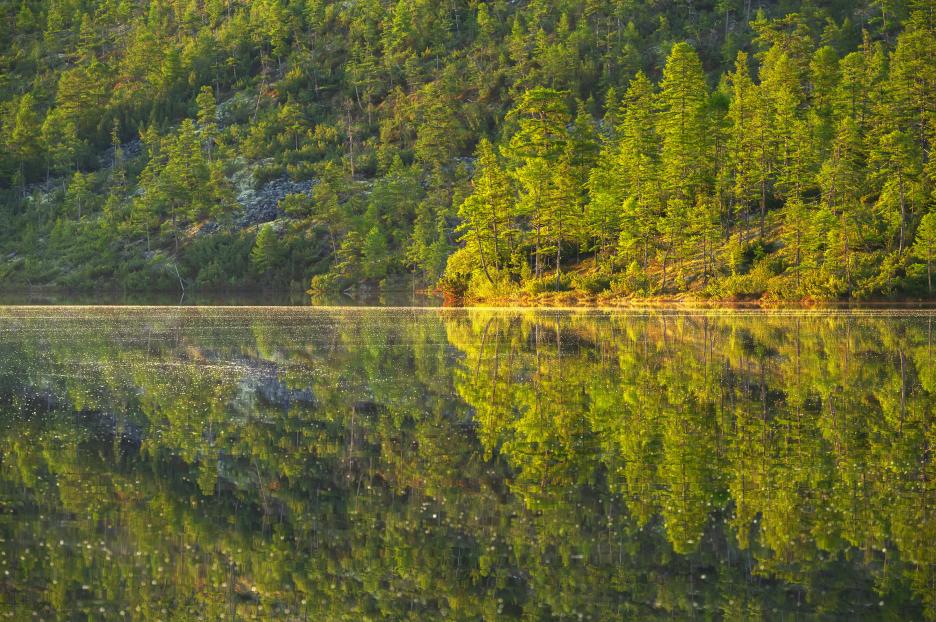 фото img_694e513fcec51.jpg