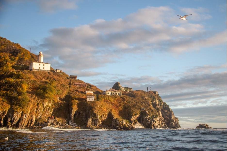 фото img_694e51872543d.jpg