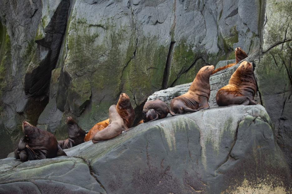 фото img_694e518e9a15a.jpg