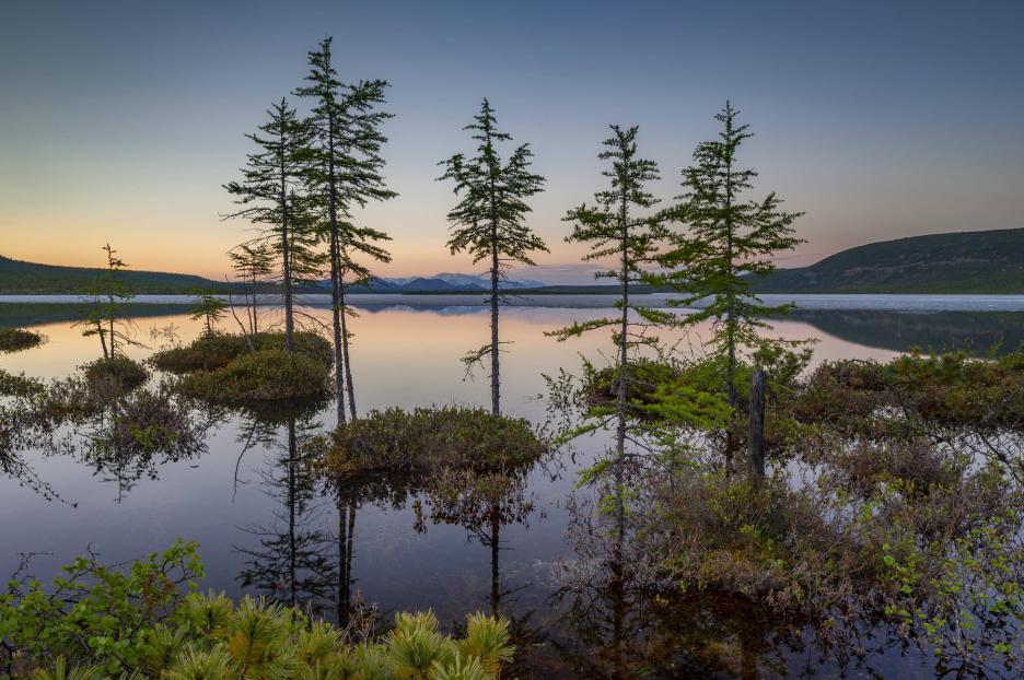 фото img_694e51983641c.jpg