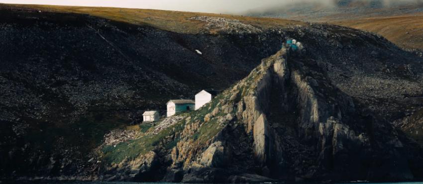 Wrangel Island: A Journey to the Edge of the World