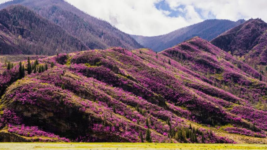 Altai Mountains in Spring: Where to Go and What to See