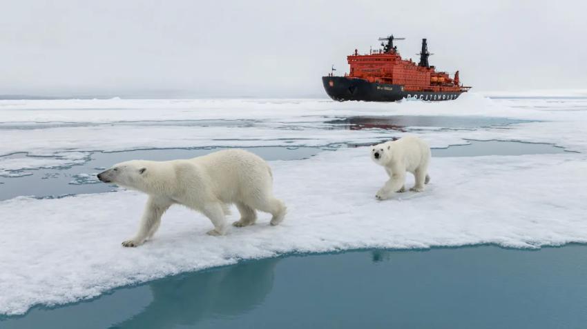 The RussiaDiscovery Founder’s Journey to the Top of the Planet