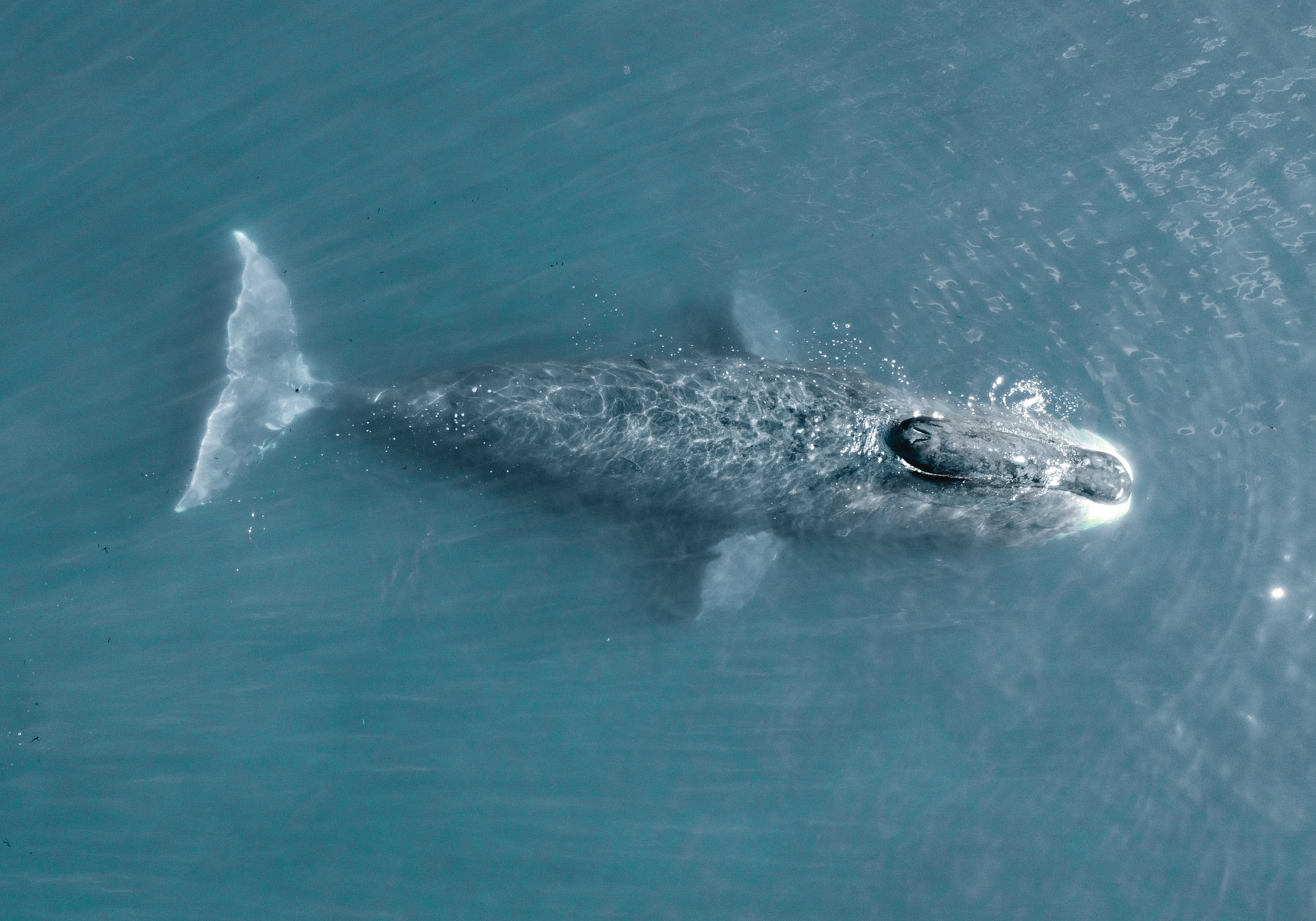 Archipelago of Discoveries