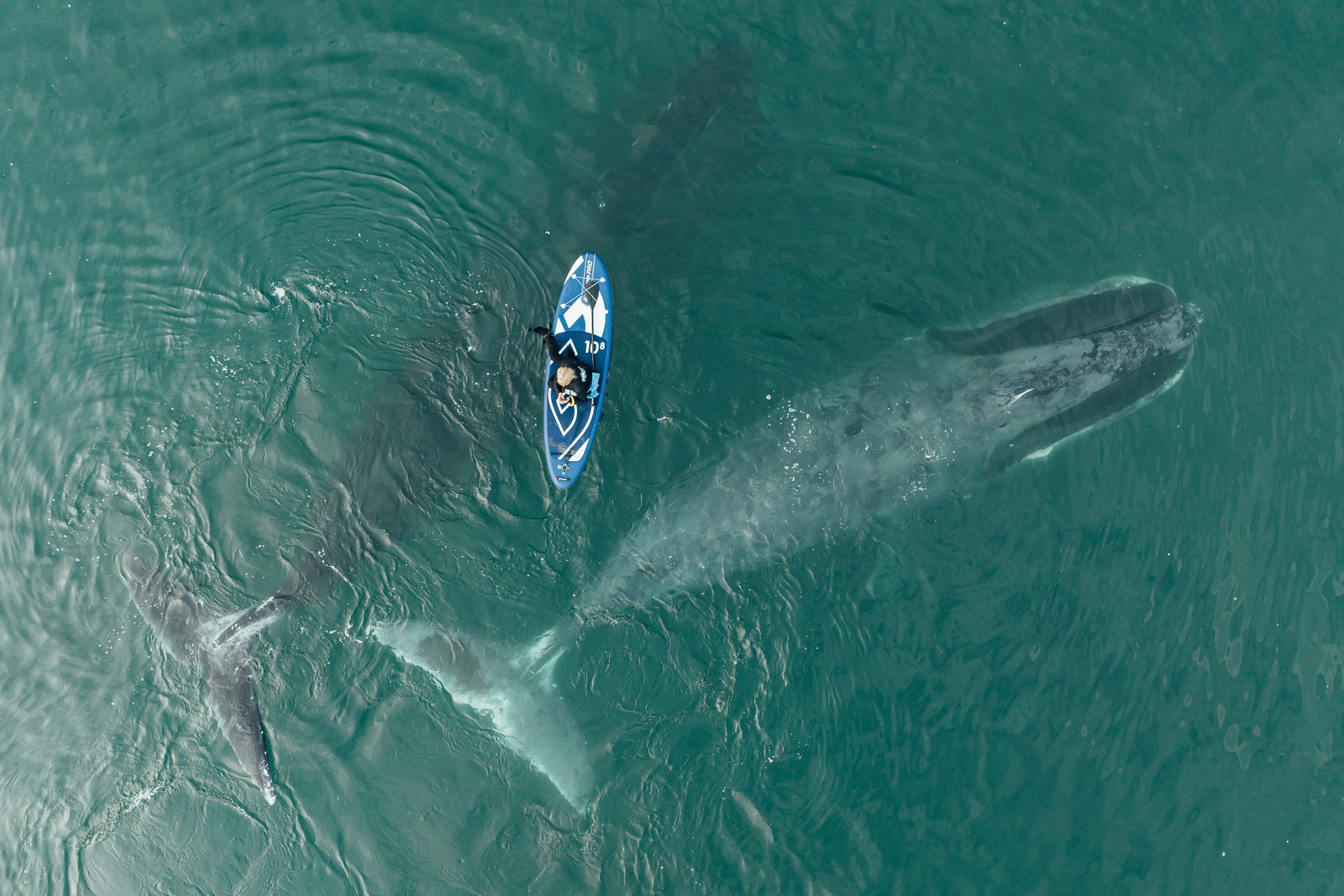 Archipelago of Discoveries: Wrangel Bay 