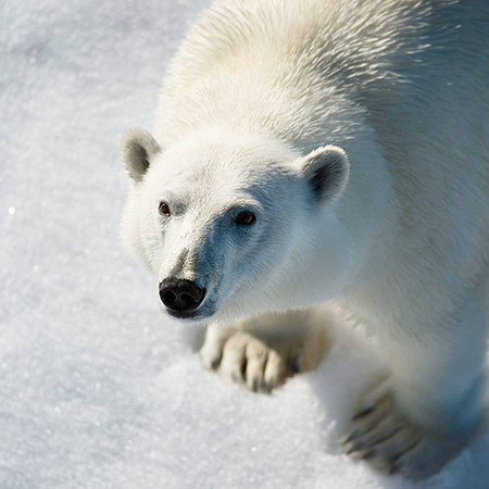 Svalbard