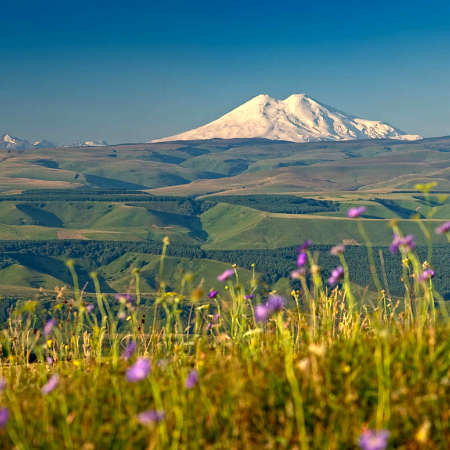 Caucasus