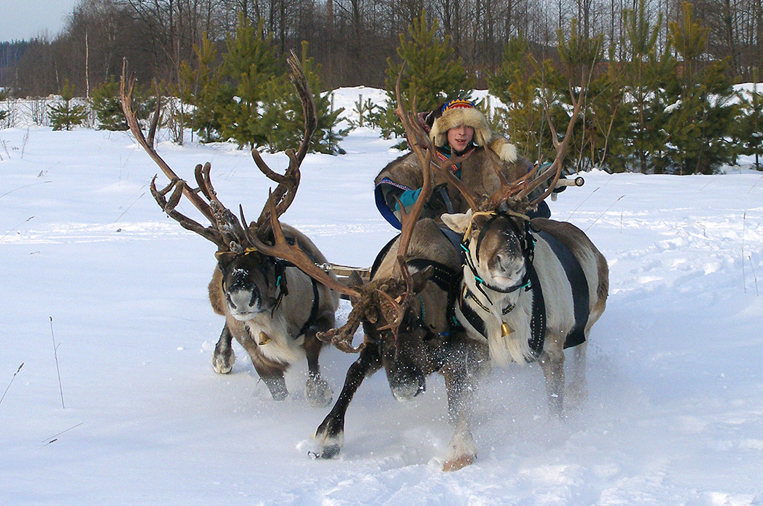 sami people