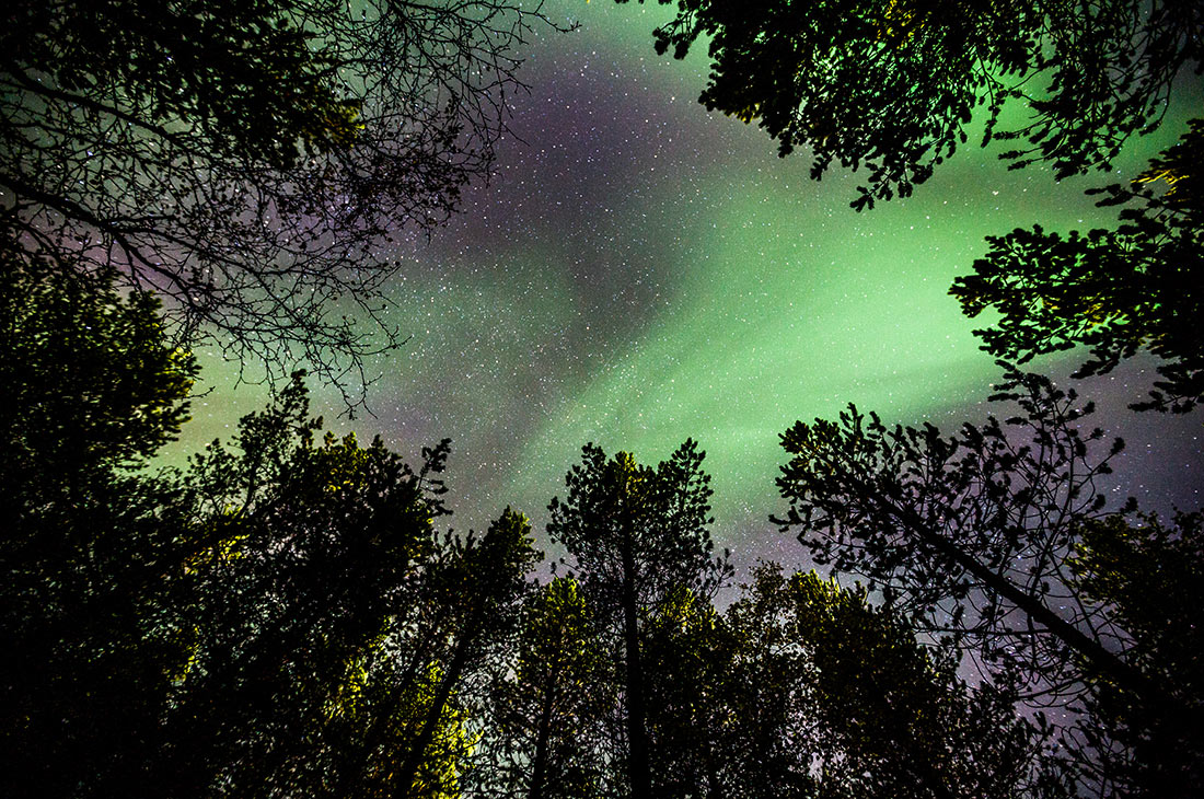 aurora borealis