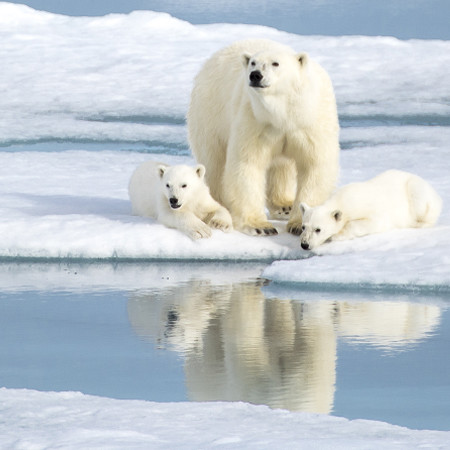 Svalbard