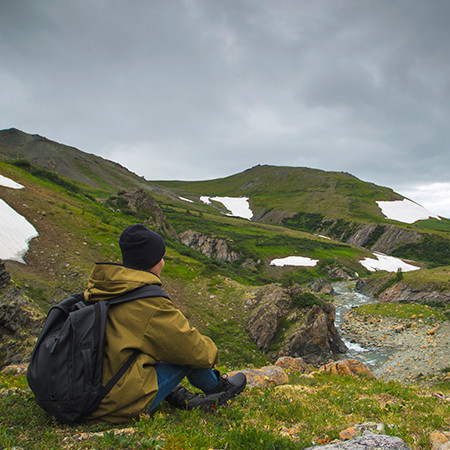 Subarctic Summer