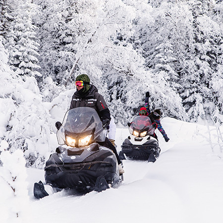 Altai winter traceries